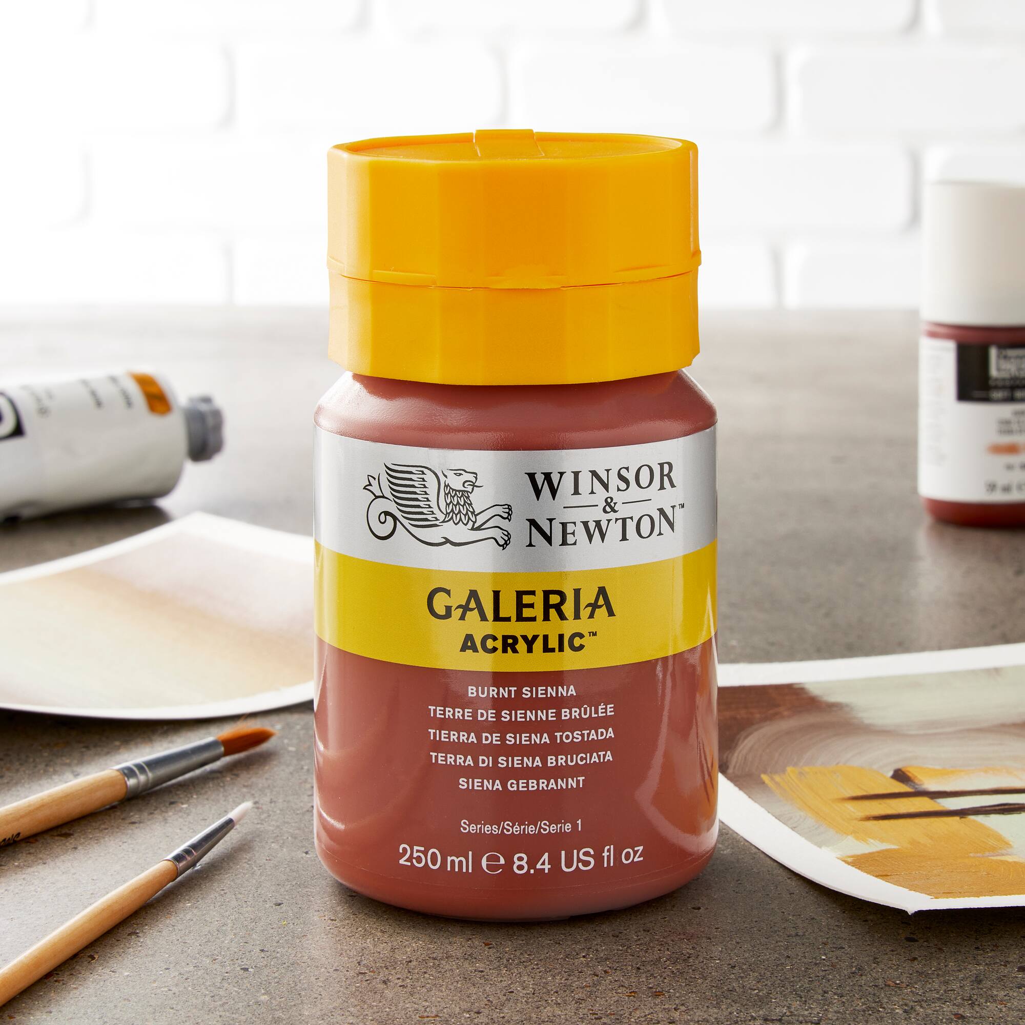 Winsor & Newton® Galeria Acrylic® Paint